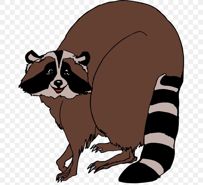 Raccoon Clip Art, PNG, 672x750px, Raccoon, Blog, Carnivoran, Cartoon, Cat Like Mammal Download Free