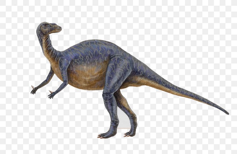 Tyrannosaurus Iguanodon Dinosaur Drawing, PNG, 800x534px, Iguanodon, Animal, Animal Figure, Dinosaur, Drawing Download Free