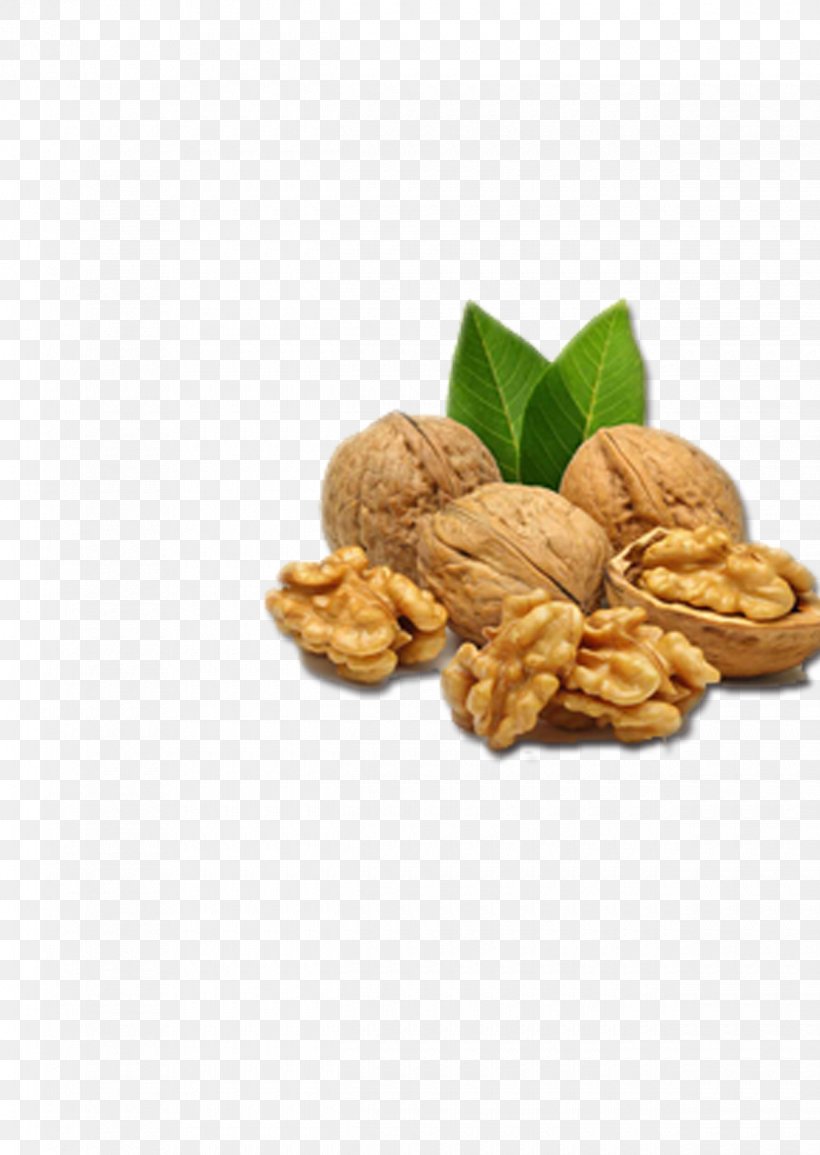 English Walnut Nutrient Seed Auglis, PNG, 1240x1748px, English Walnut, Agy, Almond, Auglis, Avocado Download Free