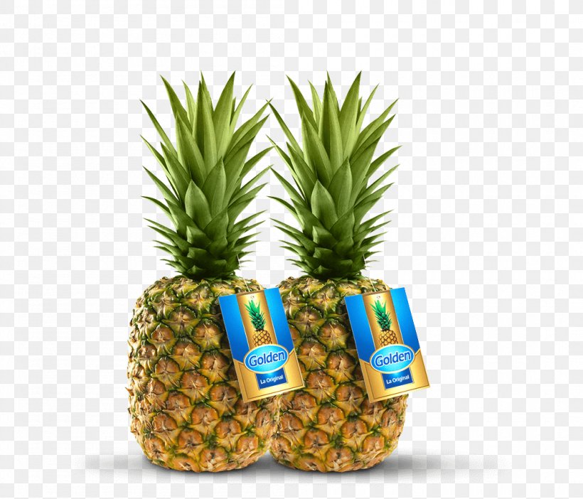 Pineapple Fruit Pitaya Camu Camu Hass Avocado, PNG, 1050x900px, Pineapple, Amazon Rainforest, Ananas, Antioxidant, Avocado Download Free