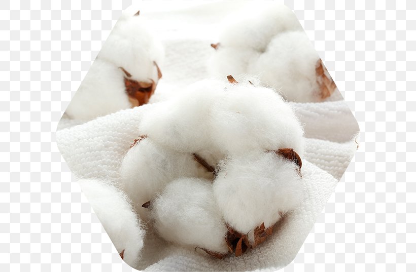 Towel Cotton Stock Photography Royalty-free, PNG, 600x537px, Towel, Cotton, Fiber, Fur, Istock Download Free