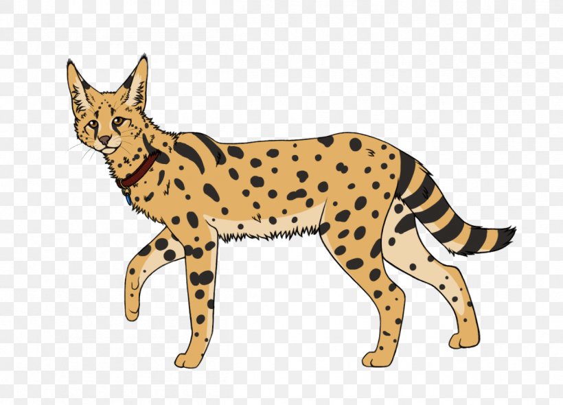 Whiskers Savannah Cat Wildcat Cheetah Bengal Cat, PNG, 1258x906px, Whiskers, Animal Figure, Bengal Cat, Big Cat, Big Cats Download Free