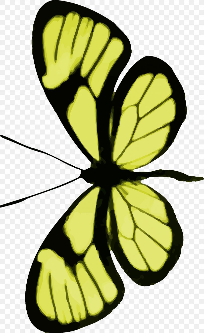 Butterfly Clip Art, PNG, 1467x2392px, Butterfly, Arthropod, Artwork, Brush Footed Butterfly, Butterflies And Moths Download Free