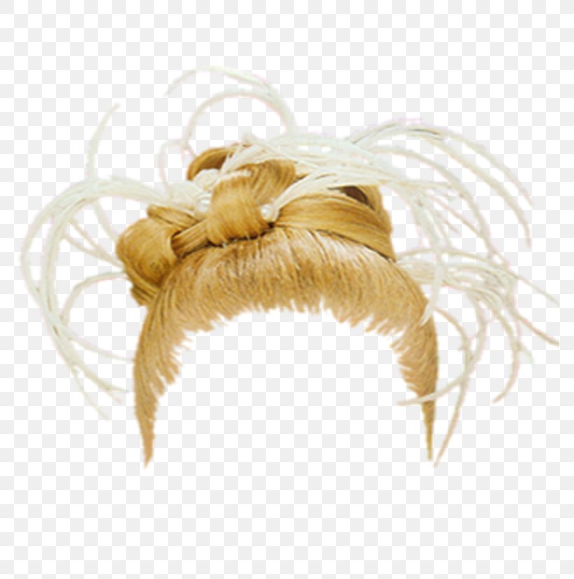 Computer Software Hairstyle, PNG, 778x827px, Computer Software, Adobe Systems, Blog, Feather, Hair Download Free