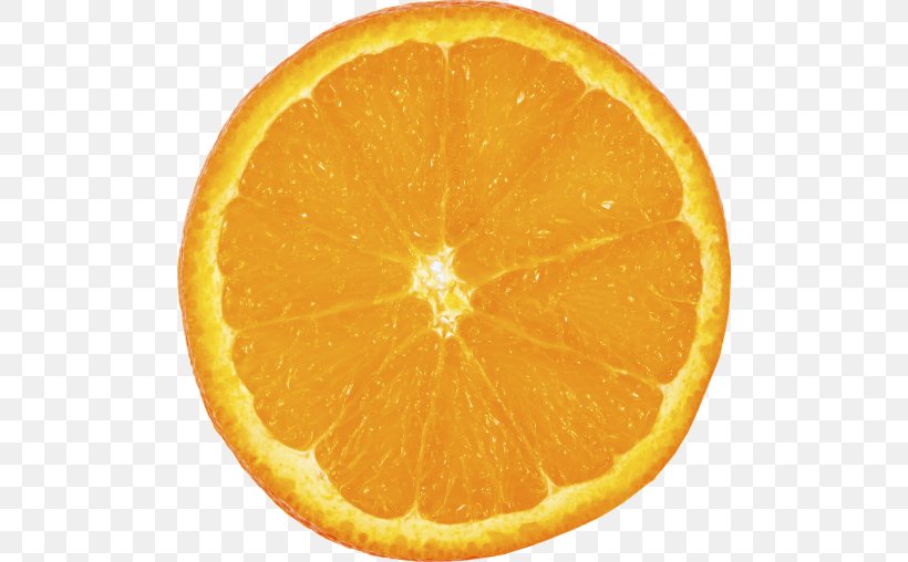 Orange Slice, PNG, 500x508px, Orange, Bitter Orange, Citric Acid, Citrus, Clementine Download Free