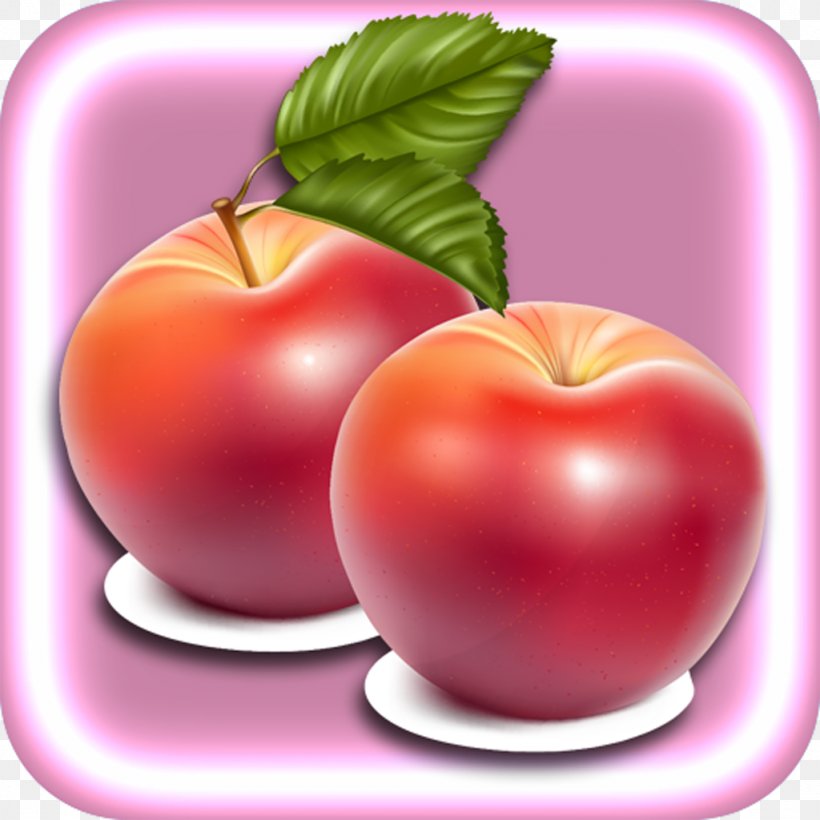 Apple Fruit Clip Art, PNG, 1024x1024px, Apple, Diet Food, Food, Fruit, Information Download Free