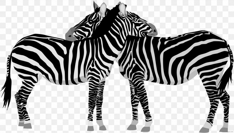 Clip Art Zebra Openclipart Illustration Lion, PNG, 2500x1429px, Zebra, Animal, Animal Figure, Animal Illustrations, Black And White Download Free