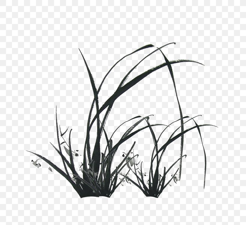 Ink Download Computer File, PNG, 750x750px, Ink, Black, Black And White, Branch, Drawing Download Free