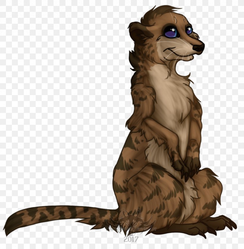 Raccoon Meerkat Beaver YouTube Canidae, PNG, 884x904px, Raccoon, Beaver, Big Cats, Canidae, Carnivoran Download Free