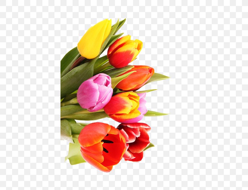Tulip Flower Bouquet Raster Graphics Nosegay, PNG, 420x630px, Tulip, Cut Flowers, Designer, Floral Design, Floristry Download Free