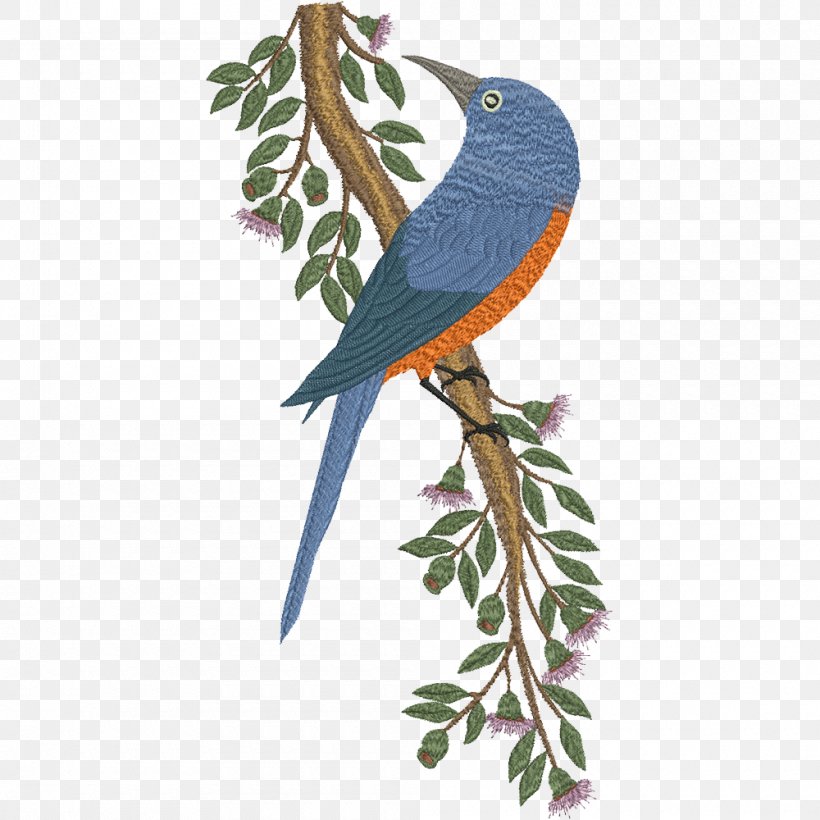 Bird Parrot Machine Embroidery Macaw, PNG, 1000x1000px, Bird, Beak, Branch, Common Pet Parakeet, Embroidery Download Free