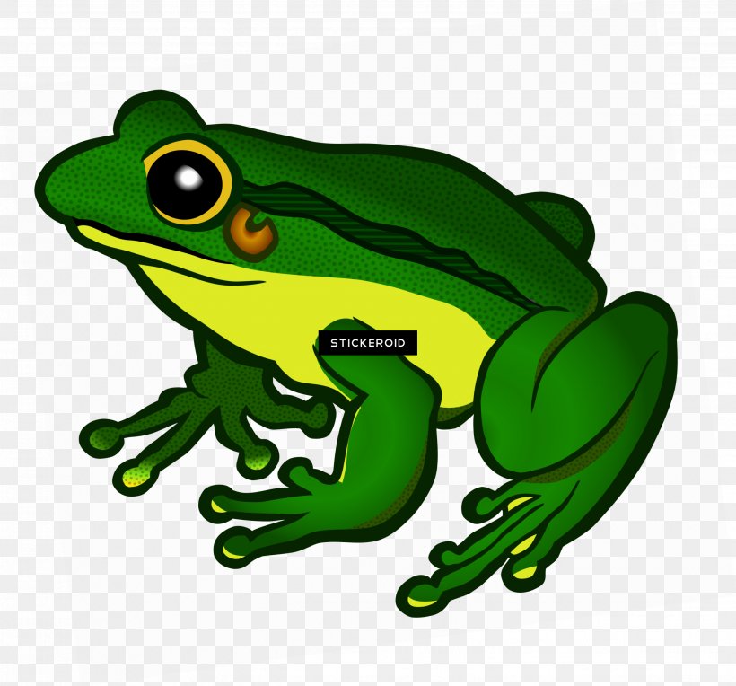 Frog Clip Art Transparency Vector Graphics, PNG, 2679x2497px, Frog, Agalychnis, Amphibian, Amphibians, Art Download Free