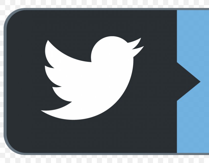 Social Media Measurement Logo, PNG, 864x675px, Social Media, Beak, Bird, Black And White, Brand Download Free