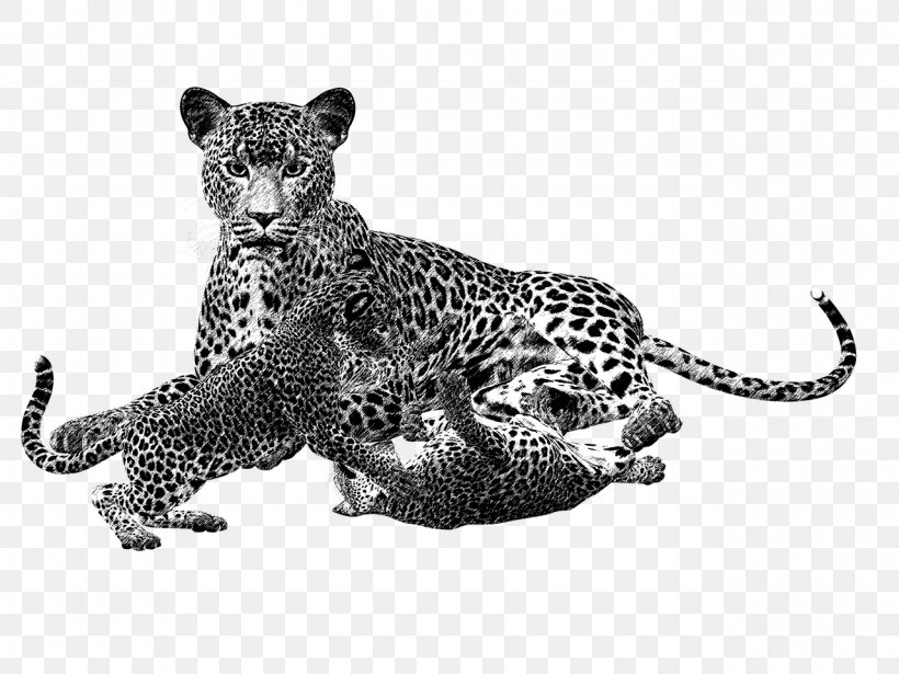 Cheetah Leopard Cat Drawing, PNG, 1280x960px, Cheetah, Animal, Big Cat, Big Cats, Carnivoran Download Free