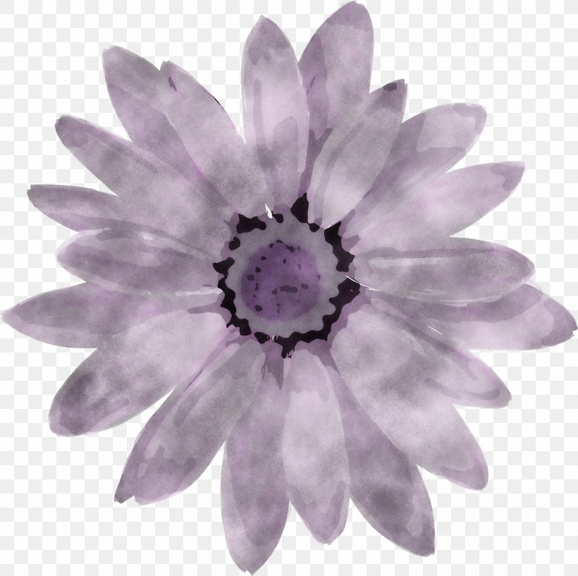 Lavender, PNG, 1920x1915px, Flower, Biology, Lavender, Petal, Plant Download Free