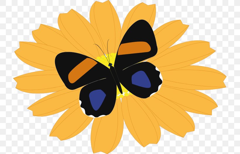 Butterfly Flower Clip Art, PNG, 729x526px, Butterfly, Arthropod, Brush Footed Butterfly, Butterflies And Moths, Common Sunflower Download Free