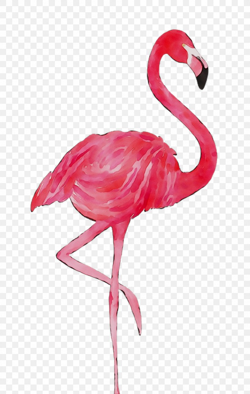 Flamingo T-Shirt Flamingo T-Shirt Top, PNG, 1052x1657px, Tshirt, Bag, Beak, Bird, Blouse Download Free