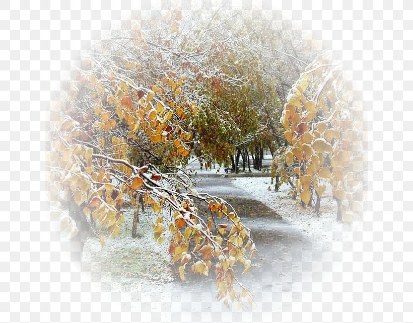 Golden Autumn Child Winter Rain, PNG, 640x642px, Autumn, Branch, Child, Cloud, Daytime Download Free