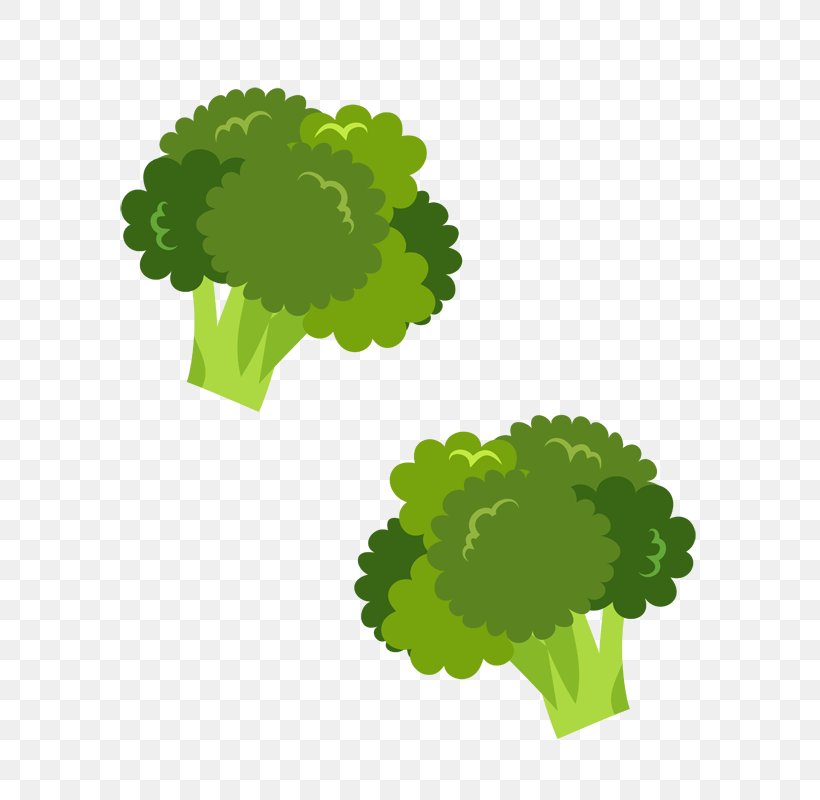 Bento Broccoli Vegetable Food, PNG, 762x800px, Bento, Blanching, Boiling, Broccoli, Cauliflower Download Free