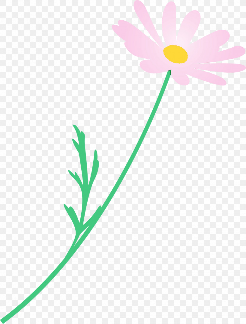 Daisy, PNG, 2275x3000px, Marguerite Flower, Camomile, Chamomile, Daisy, Daisy Family Download Free
