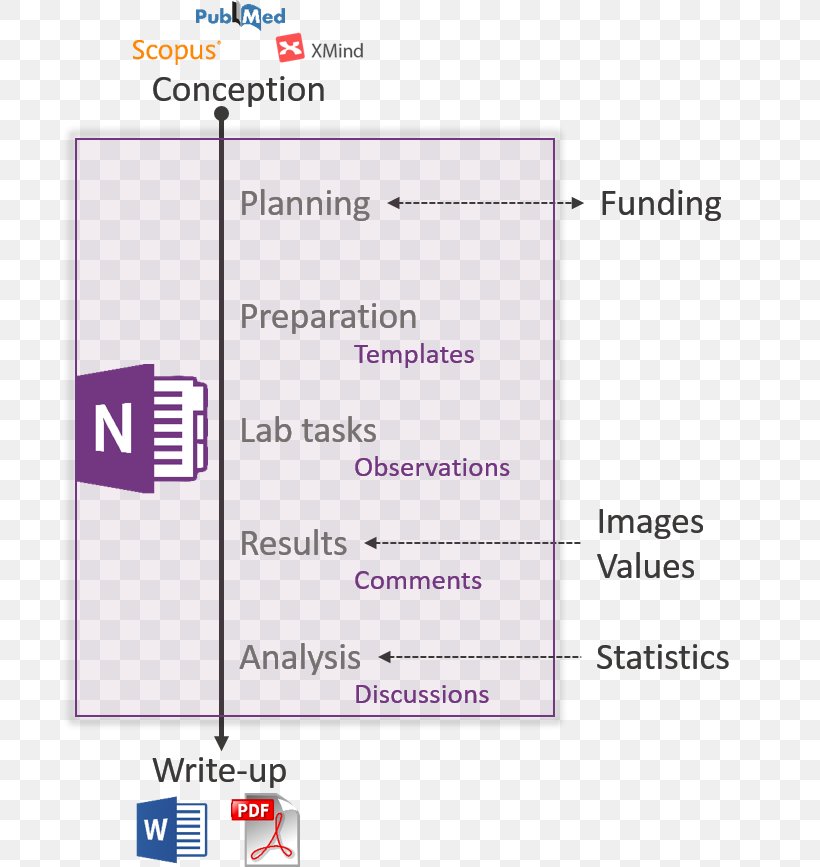Document Line Microsoft OneNote Angle, PNG, 702x867px, Document, Area, Brand, Diagram, Media Download Free