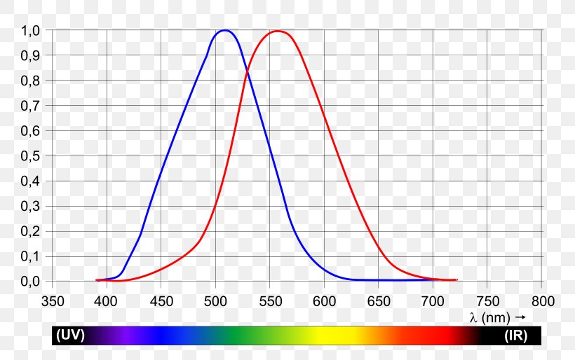 Light Photopic Vision Wavelength Luminosity Function Visual Perception, PNG, 800x514px, Light, Area, Color, Diagram, Ellipsometry Download Free