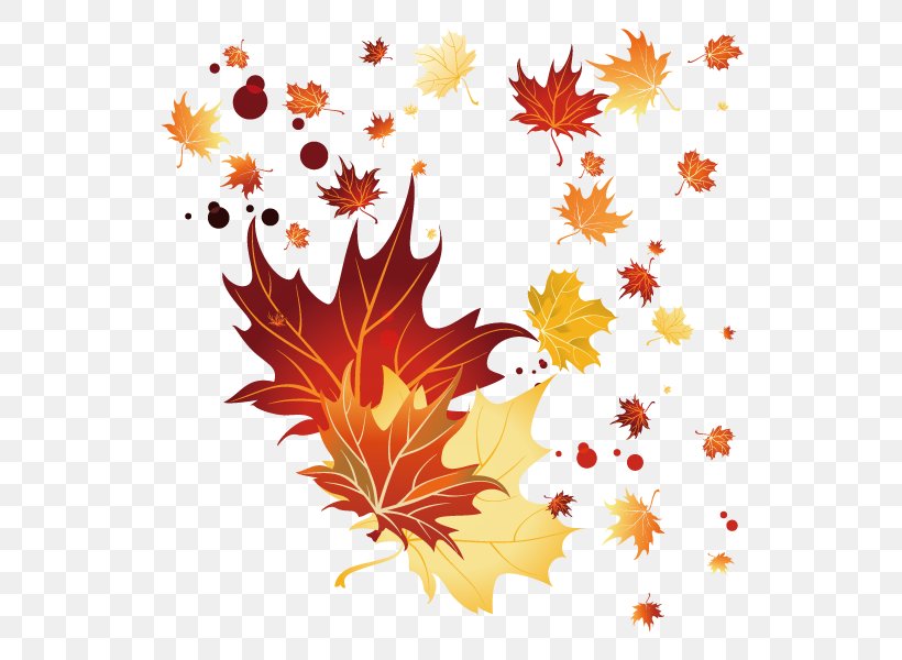 Maple Leaf Autumn, PNG, 600x600px, Maple Leaf, Autumn, Autumn Leaf Color, Drawing, Flowering Plant Download Free