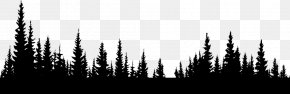 Forest - Desktop Wallpaper Forest Clip Art PNG