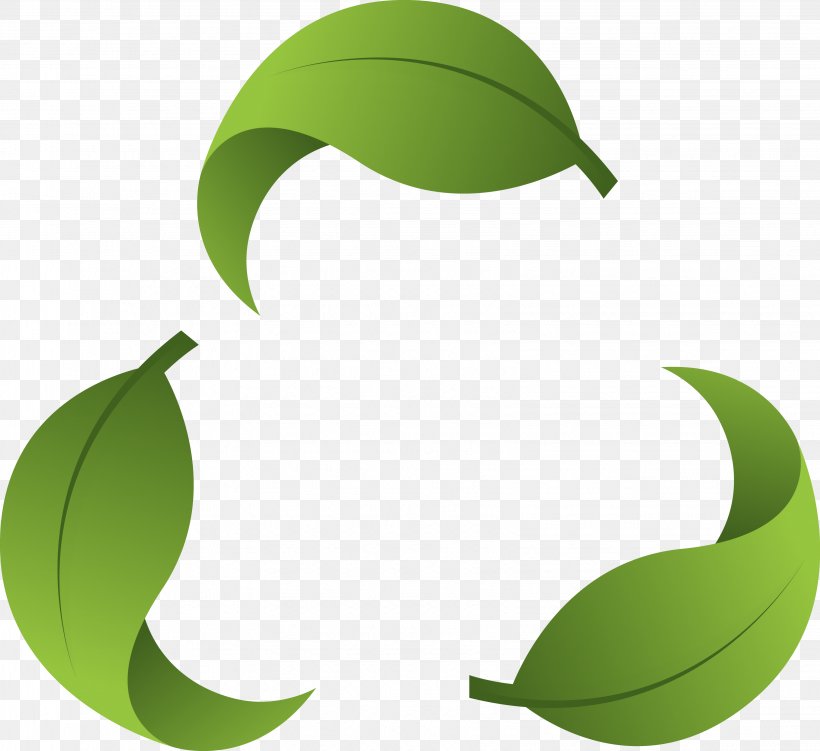 Paper Recycling Recycling Symbol, PNG, 3263x2990px, Paper, Fruit, Green, Leaf, Logo Download Free