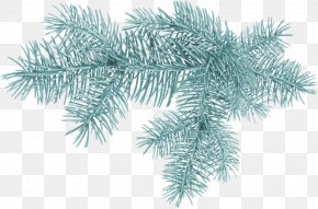 Christmas Tree - Spruce Christmas Tree Clip Art Pine PNG