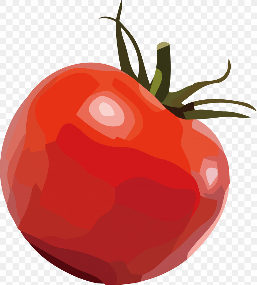 Tomato, PNG, 2704x3000px, Bush Tomato, Apple, Bell Pepper, Datterino Tomato, Local Food Download Free
