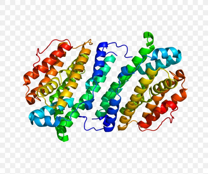 RRM2B Ribonucleotide Reductase Ribonucleoside Gene, PNG, 1200x1000px, Ribonucleoside, Adenosine Triphosphate, Art, Ataxiatelangiectasia, Bead Download Free