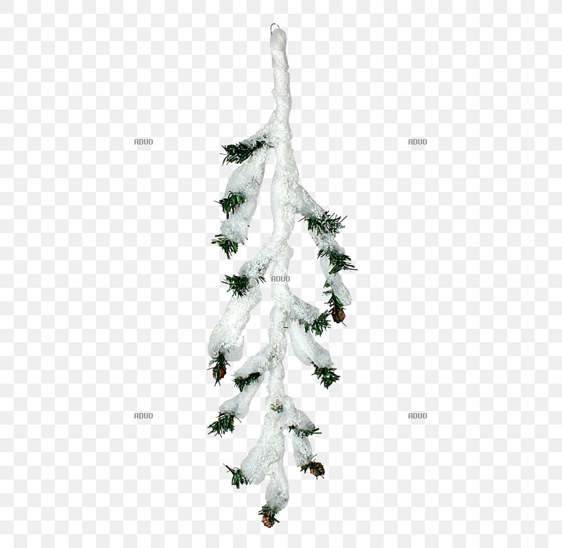 Spruce Christmas Ornament Christmas Tree Fir Pine, PNG, 800x800px, Spruce, Branch, Christmas, Christmas Decoration, Christmas Ornament Download Free