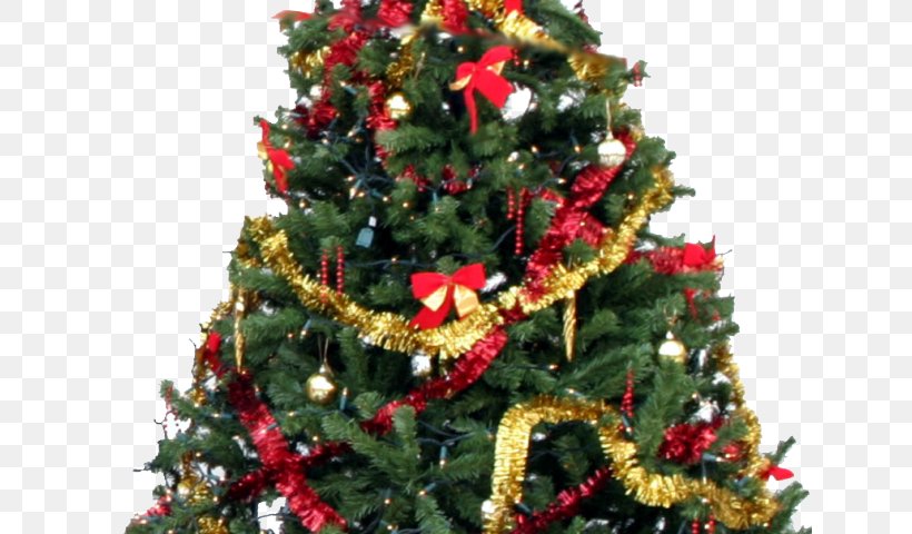 Christmas Tree Decorations Christmas Day Christmas Decoration Gift, PNG, 640x480px, Christmas Tree, Artificial Christmas Tree, Christmas, Christmas And Holiday Season, Christmas Day Download Free