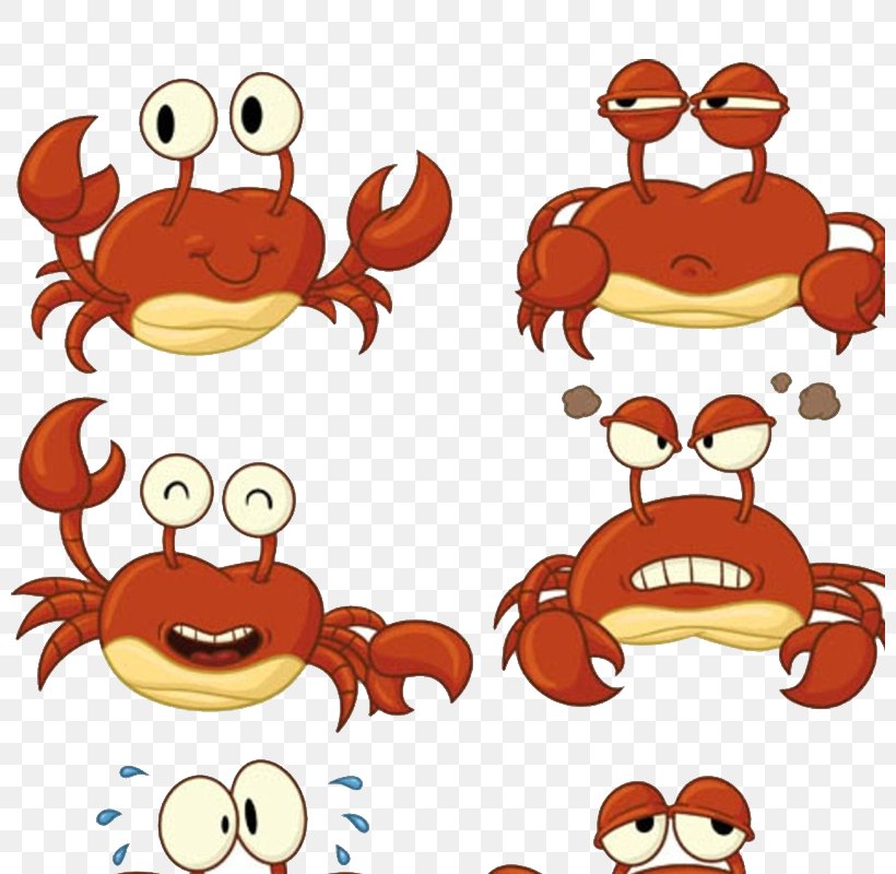 Crab Cartoon Drawing Clip Art, PNG, 800x800px, Crab, Area, Art, Artwork, Cartoon Download Free
