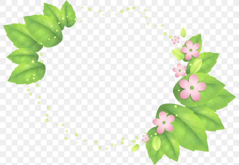 Leaf Green Plant Flower Clip Art, PNG, 800x567px, Leaf, Flower, Green, Plant Download Free