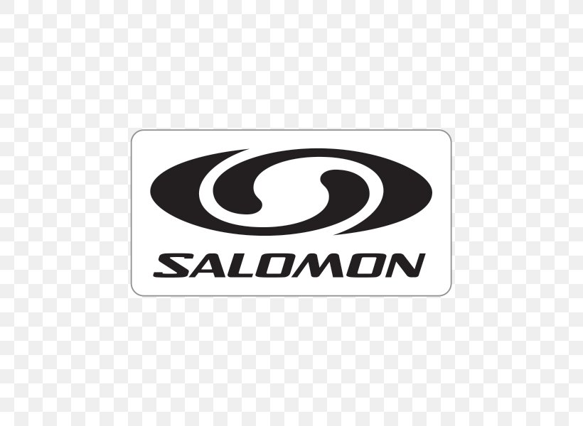 salomon group ski