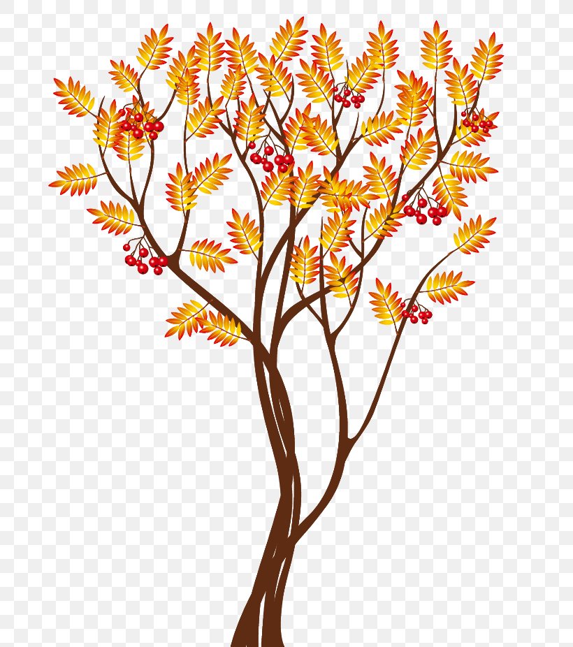 Tree Clip Art, PNG, 718x926px, Tree, Branch, Cut Flowers, Diagram, Flora Download Free