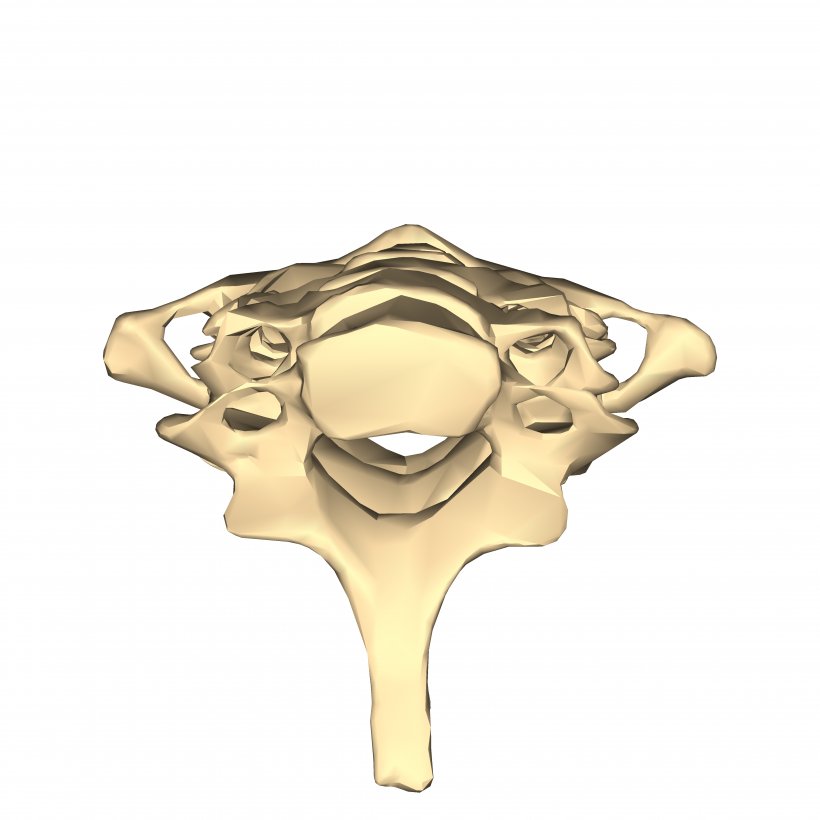 01504 Gold, PNG, 4500x4500px, Gold, Brass, Jewellery, Joint, Metal Download Free