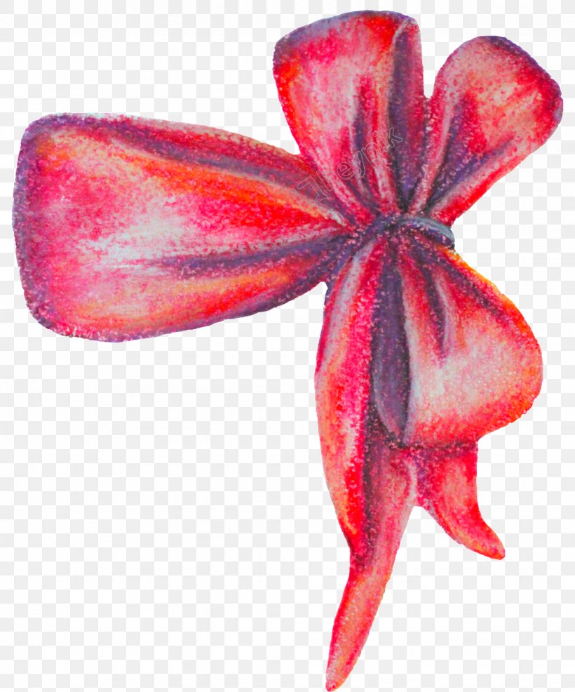 Clip Art Vector Graphics Butterfly Web Design, PNG, 1024x1232px, Butterfly, Anthurium, Clothing, Flower, Flowering Plant Download Free