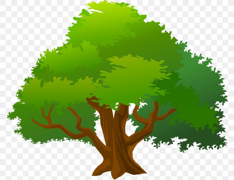 Tree Clip Art, PNG, 1065x823px, Tree, Biome, Branch, Cartoon, Grass Download Free