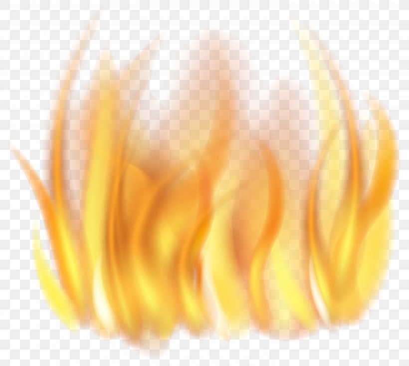 Clip Art Transparency Image Fire, PNG, 6000x5369px, Fire, Close Up, Flame, Flower, Macro Photography Download Free