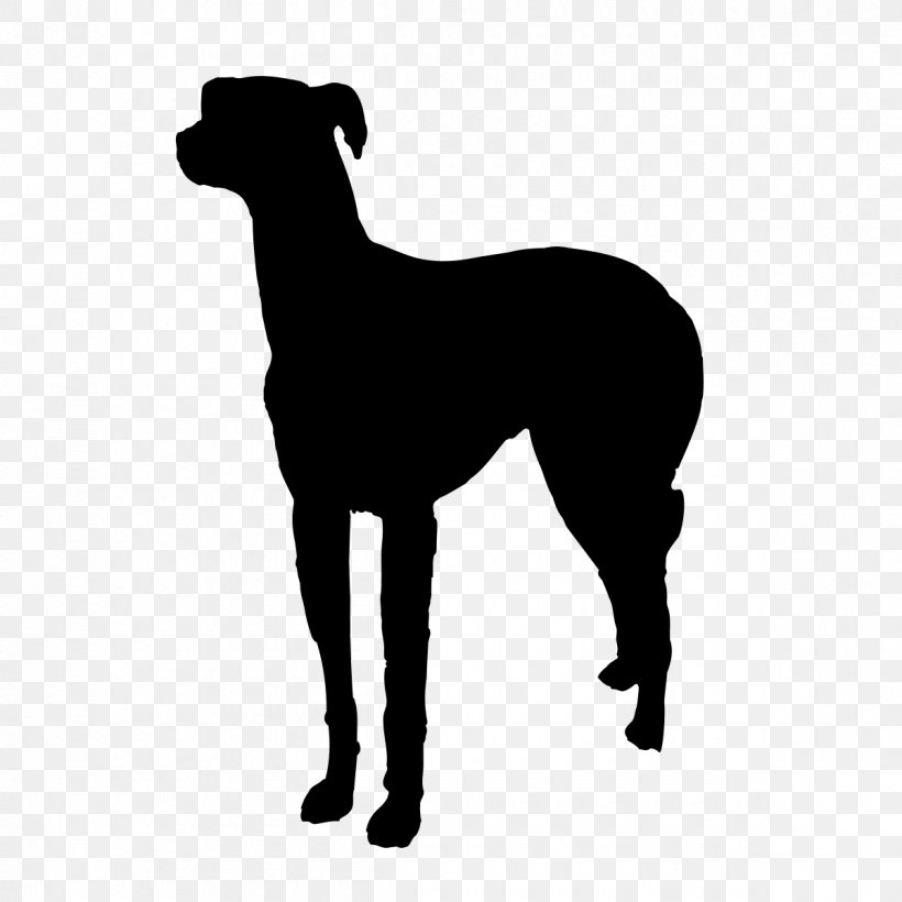 Italian Greyhound Pet Sitting Dog Walking Dog Breed, PNG, 1200x1200px, Italian Greyhound, Black, Black And White, Breed, Breeder Download Free