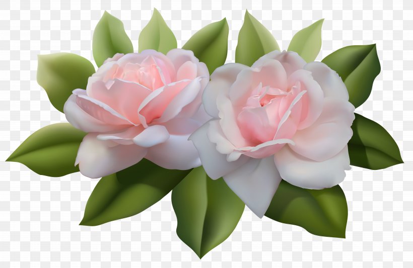 Rose Desktop Wallpaper Clip Art, PNG, 7500x4879px, Rose, Artificial Flower, Camellia, Cardmaking, Cut Flowers Download Free