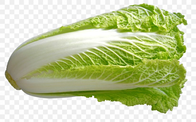 Chinese Cuisine Chinese Cabbage Vegetable Napa Cabbage, PNG, 1920x1200px, Chinese Cuisine, Brassica, Cabbage, Cauliflower, Chinese Cabbage Download Free
