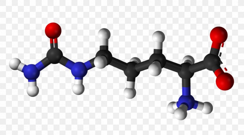 Citrulline Amino Acid Arginine Metabolic Waste, PNG, 1200x667px, 3phosphoglyceric Acid, Citrulline, Acid, Amino Acid, Arginine Download Free