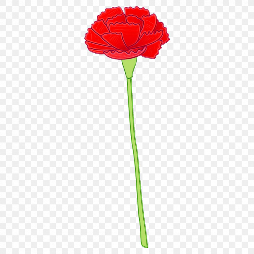 Flower Red Cut Flowers Plant Plant Stem, PNG, 1200x1200px, Carnation, Coquelicot, Cut Flowers, Flower, Paint Download Free