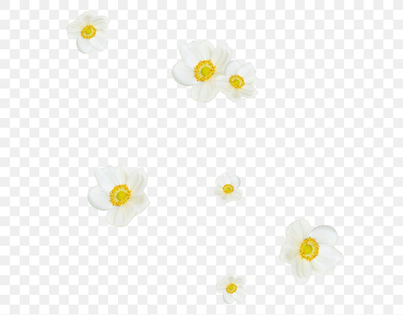 Material Body Jewellery, PNG, 600x641px, Material, Body Jewellery, Body Jewelry, Flower, Flowering Plant Download Free
