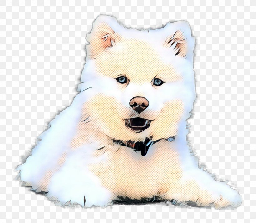 American Eskimo Dog Dog Breed Japanese Spitz German Spitz Canadian Eskimo Dog, PNG, 1090x950px, American Eskimo Dog, Akita, Animal Figure, Canadian Eskimo Dog, Canidae Download Free