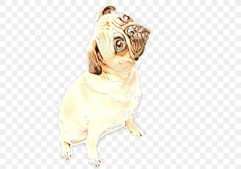 Dog Pug Companion Dog Sporting Group Fawn, PNG, 570x575px, Cartoon, Companion Dog, Dog, Drawing, Fawn Download Free